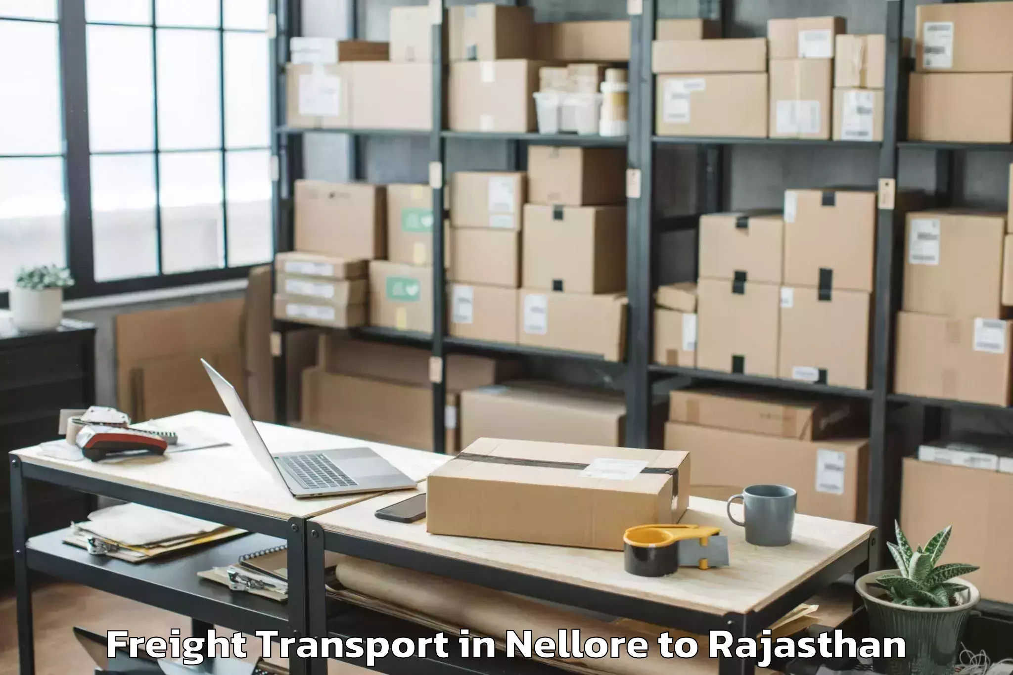 Top Nellore to Mewar University Chittorgarh Freight Transport Available